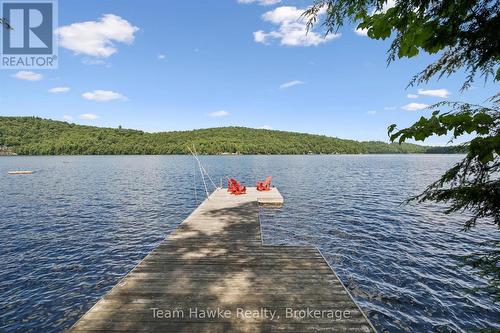 3359 Maple Ridge Road, Algonquin Highlands (Mcclintock), ON - Outdoor With Body Of Water With View