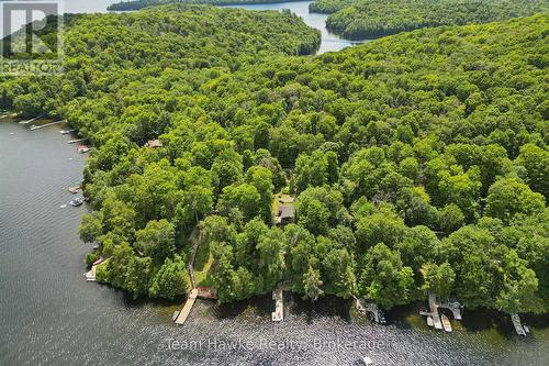 3359 Maple Ridge Road, Algonquin Highlands (Mcclintock), ON - Outdoor With Body Of Water