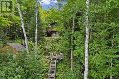 3359 Maple Ridge Road, Algonquin Highlands (Mcclintock), ON - Outdoor