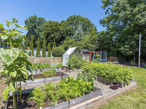 1348 Spring Garden Road, Kingston, NS - Outdoor