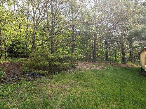 48 Gorsebud Close, Halifax, NS - Outdoor