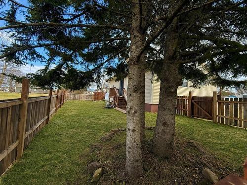 233 Main Street, Borden-Carleton, PE - Outdoor With Backyard