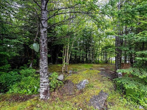 1850 Old Sambro Road, Williamswood, NS - Outdoor