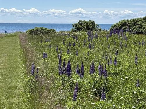 7 Acres Ince Drive - Hampton Beach, Hampton, PE 