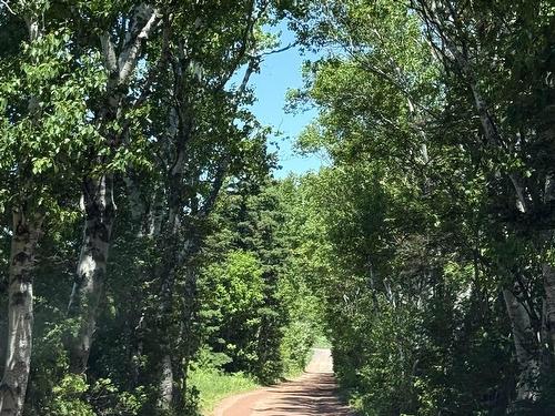 7 Acres Ince Drive - Hampton Beach, Hampton, PE 