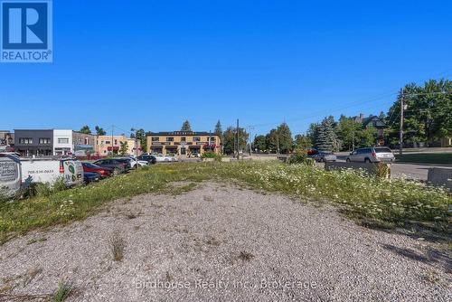 58 Colborne Street, Kawartha Lakes (Fenelon Falls), ON 