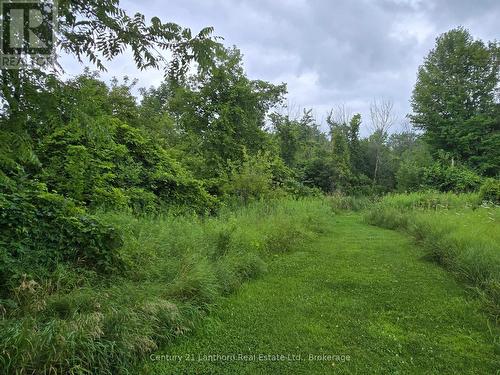 448 Harrington Road, Quinte West (Sidney Ward), ON - Outdoor