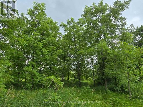 448 Harrington Road, Quinte West (Sidney Ward), ON - Outdoor