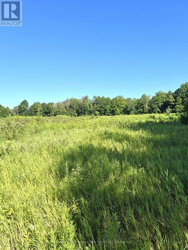 448 Harrington Road, Quinte West (Sidney Ward), ON - Outdoor With View