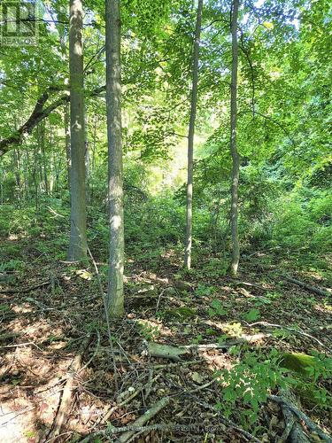 448 Harrington Road, Quinte West (Sidney Ward), ON - Outdoor