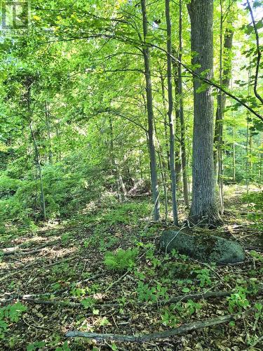 448 Harrington Road, Quinte West (Sidney Ward), ON - Outdoor