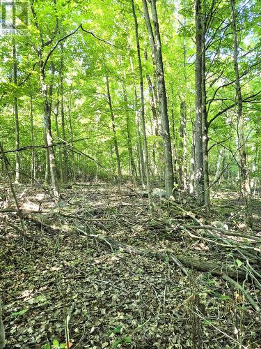 448 Harrington Road, Quinte West (Sidney Ward), ON - Outdoor