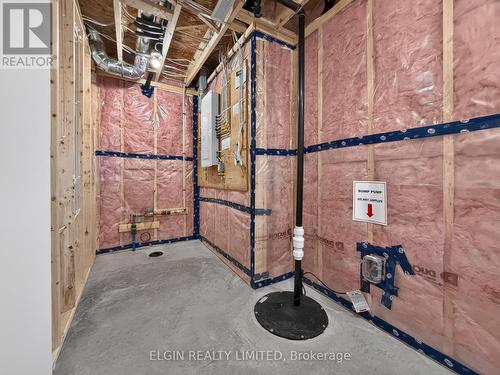 38 Finch Street, Tillsonburg, ON - Indoor Photo Showing Basement