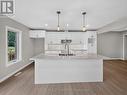 38 Finch Street, Tillsonburg, ON  - Indoor Photo Showing Kitchen With Double Sink 
