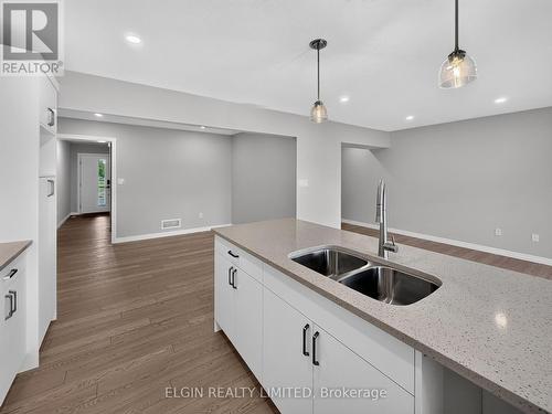 38 Finch Street, Tillsonburg, ON - Indoor Photo Showing Kitchen With Double Sink