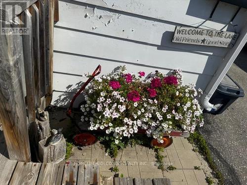 240 Pine Beach Drive, Georgina, ON - 