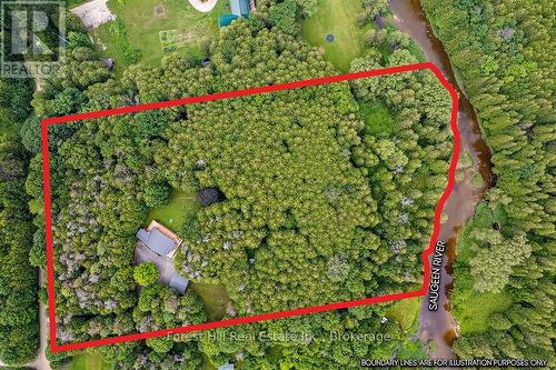 Truly a fantastic 5.4 acre country property - 344511 North Line, West Grey, ON - Outdoor