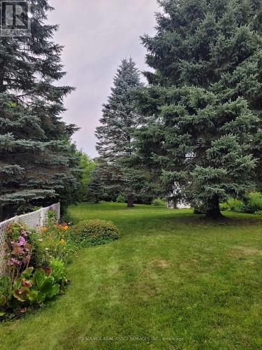 488 George Street W, West Grey, ON - Outdoor