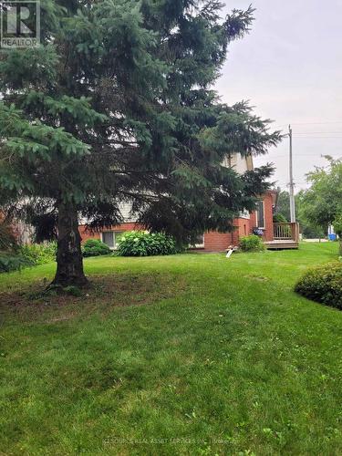 488 George Street W, West Grey, ON - Outdoor