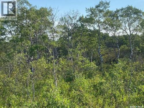 21 Acres Willow Cres Pike Lake Area, Vanscoy Rm No. 345, SK 