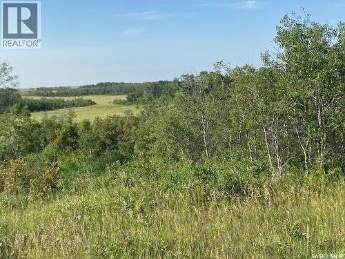 21 Acres Willow Cres Pike Lake Area, Vanscoy Rm No. 345, SK 