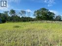 21 Acres Willow Cres Pike Lake Area, Vanscoy Rm No. 345, SK 