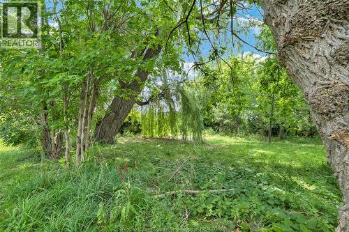 1337 Janette, Windsor, ON - Outdoor