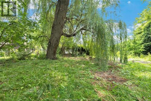 1337 Janette, Windsor, ON - Outdoor