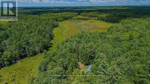 1101 Langford Road, Lake Of Bays (Mclean), ON - Outdoor With View