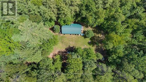 1101 Langford Road, Lake Of Bays (Mclean), ON - Outdoor