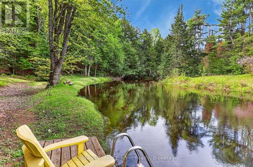 44 Lean Drive, North Kawartha, ON - Outdoor With Body Of Water
