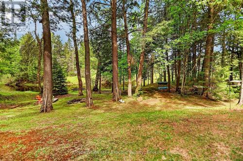 44 Lean Drive, North Kawartha, ON - Outdoor