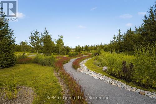 446 Fish Lake Road, Prince Edward County (Sophiasburgh), ON - Outdoor With View