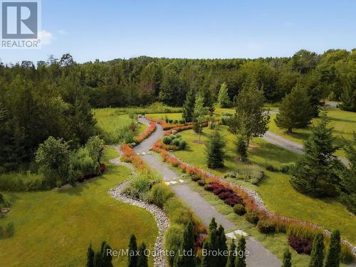 446 Fish Lake Road, Prince Edward County (Sophiasburgh), ON - Outdoor With View