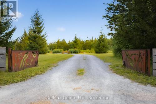 446 Fish Lake Road, Prince Edward County (Sophiasburgh), ON - Outdoor