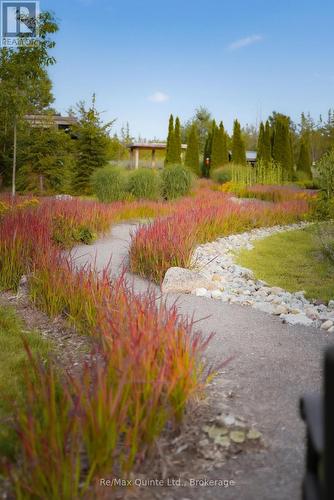 446 Fish Lake Road, Prince Edward County (Sophiasburgh), ON - Outdoor With View