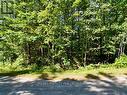 Lot 14 Pineshore Crescent, Tiny, ON 