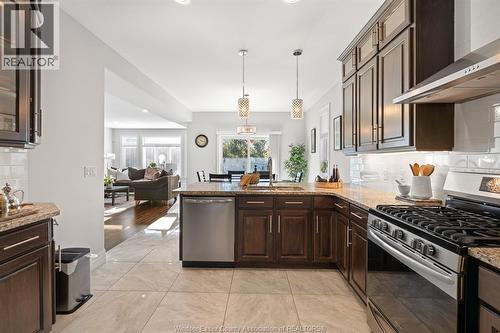 6184 Disputed Road, Lasalle, ON - Indoor Photo Showing Kitchen With Upgraded Kitchen