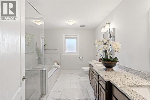 6184 Disputed Road, Lasalle, ON - Indoor Photo Showing Bathroom