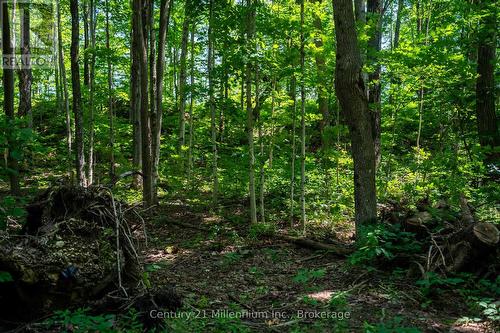 414616 Baseline Road, West Grey, ON 