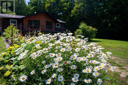 414616 Baseline Road, West Grey, ON 