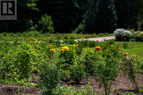 414616 Baseline Road, West Grey, ON 