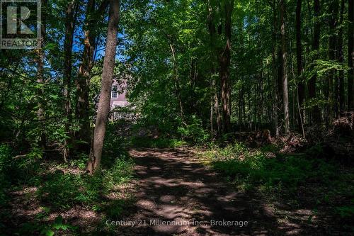 414616 Baseline Road, West Grey, ON 