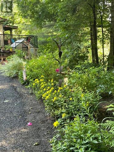 236 Hoodstown Road, Huntsville (Stisted), ON - Outdoor