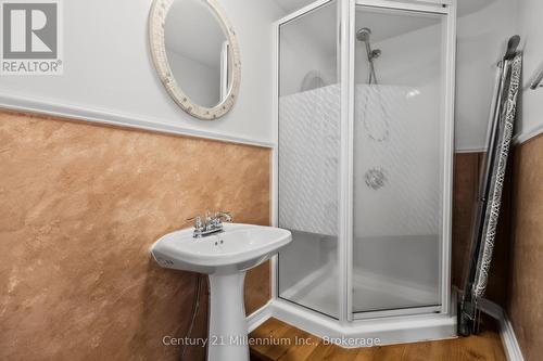 38 Grayview Drive, Grey Highlands, ON - Indoor Photo Showing Bathroom