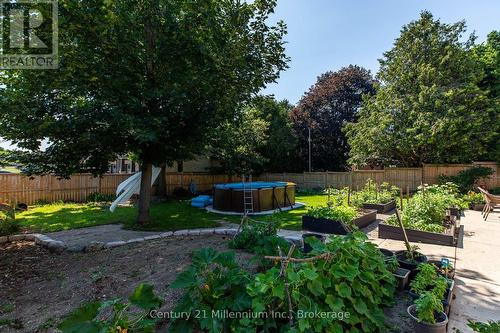 38 Grayview Drive, Grey Highlands, ON - Outdoor With Backyard