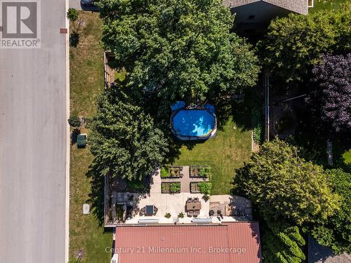 38 Grayview Drive, Grey Highlands, ON - Outdoor With View