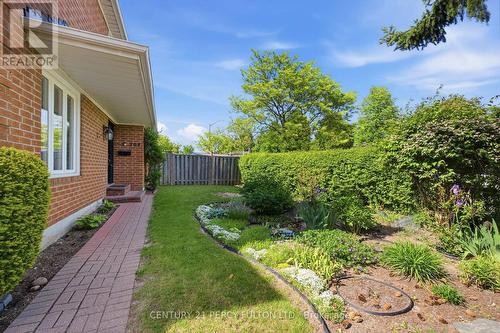 208 Conley Street, Vaughan, ON - Outdoor