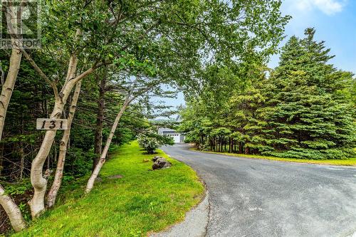 Private Driveway - 131-139 Marine Drive, Logy Bay, Middle Cove, Outer Cove, NL - Outdoor