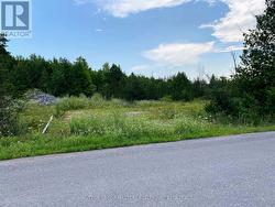 0 COLEBROOK ROAD Stone Mills (Stone Mills), ON K0K 3N0